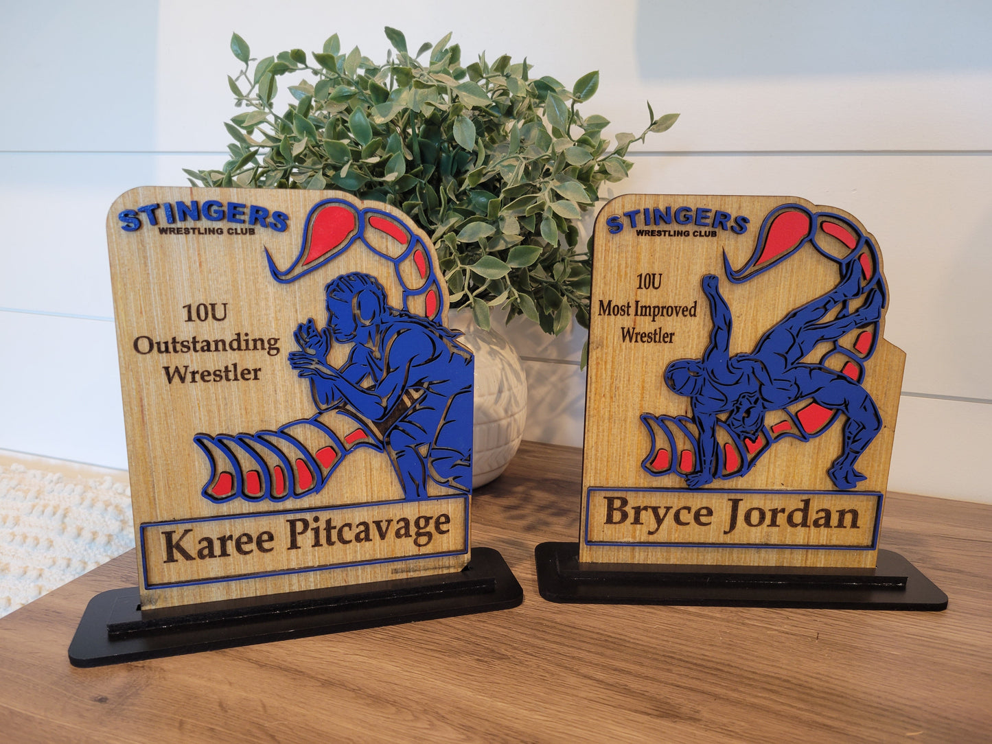 Rising Stars: Youth Wrestling Excellence Award Male Female