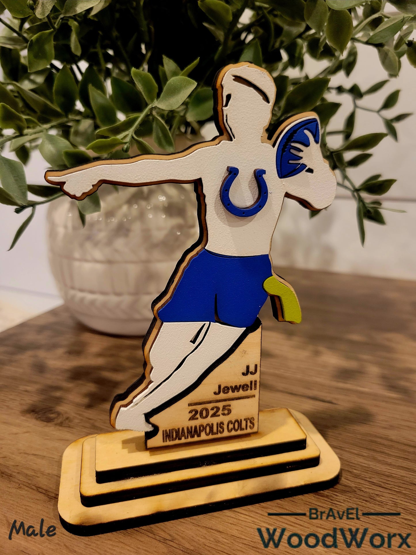 Premium Youth Flag Football Team/Player Gift Trophy Memorabilia
