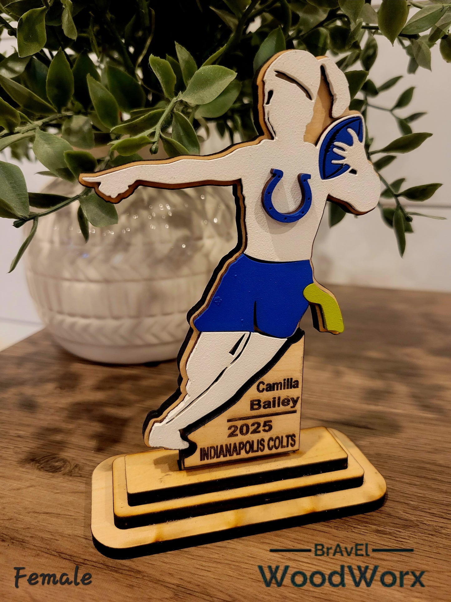 Premium Youth Flag Football Team/Player Gift Trophy Memorabilia