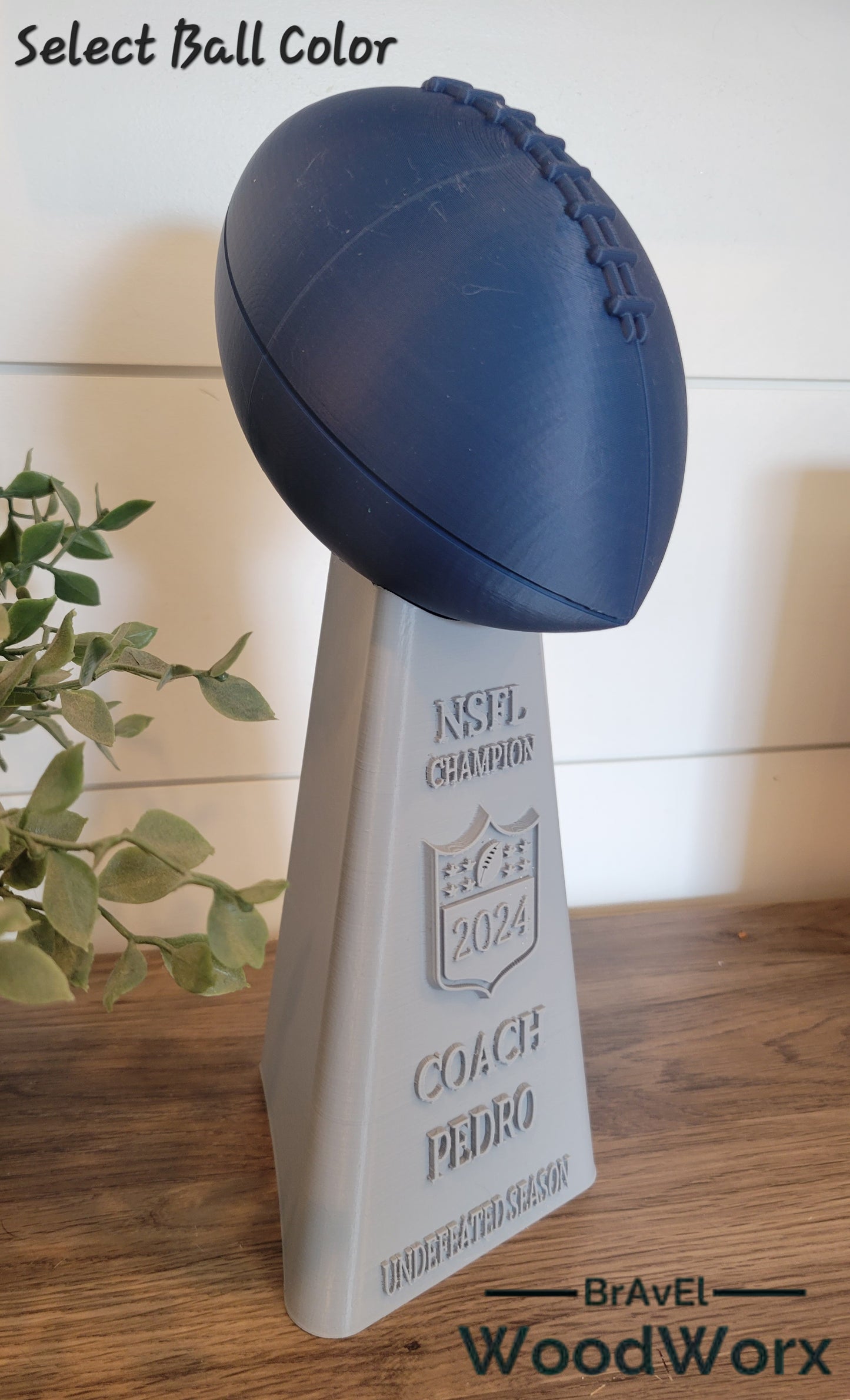 Custom Fantasy Football Trophy - Personalized Championship Award