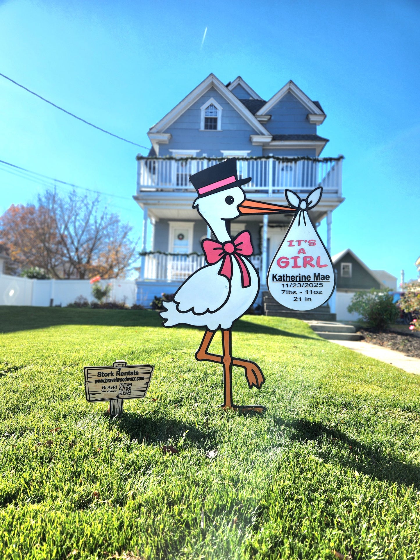 Stork Rental 3 Day (3-Day)