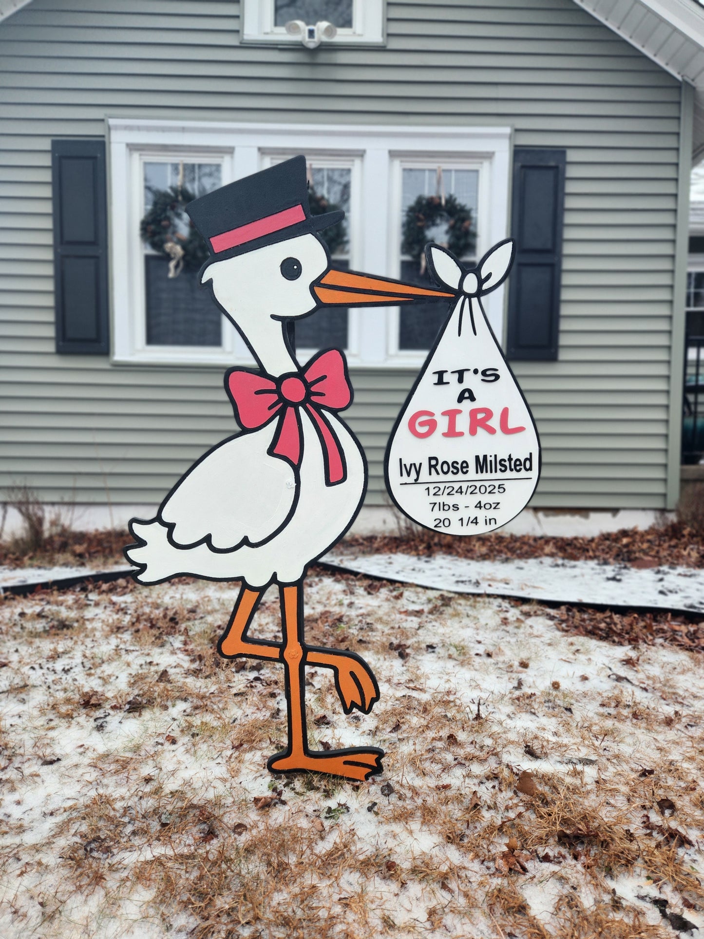 Stork Rental 3 Day (3-Day)