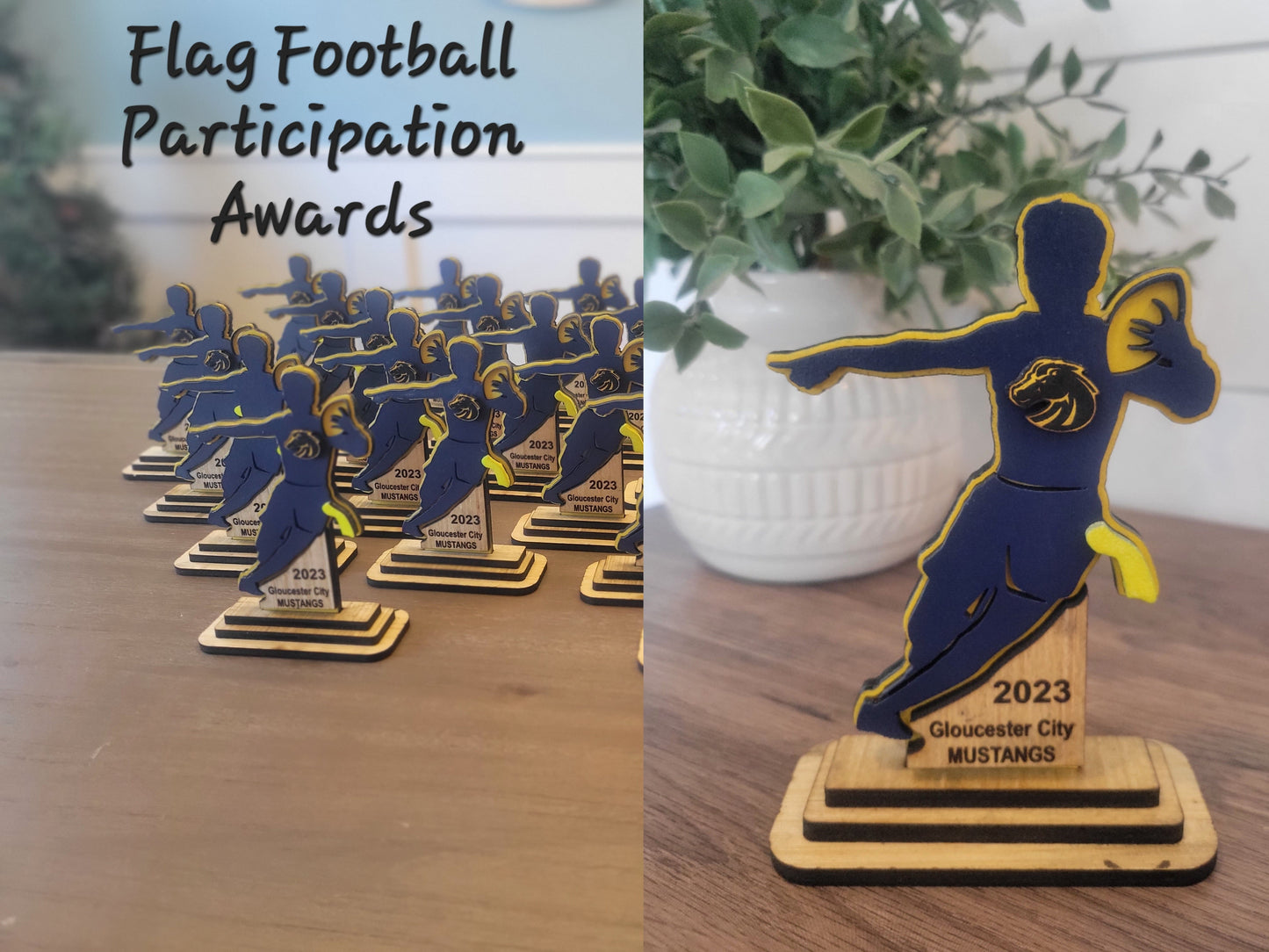 Youth Flag Football Team/Player Gift Trophy Memorabilia