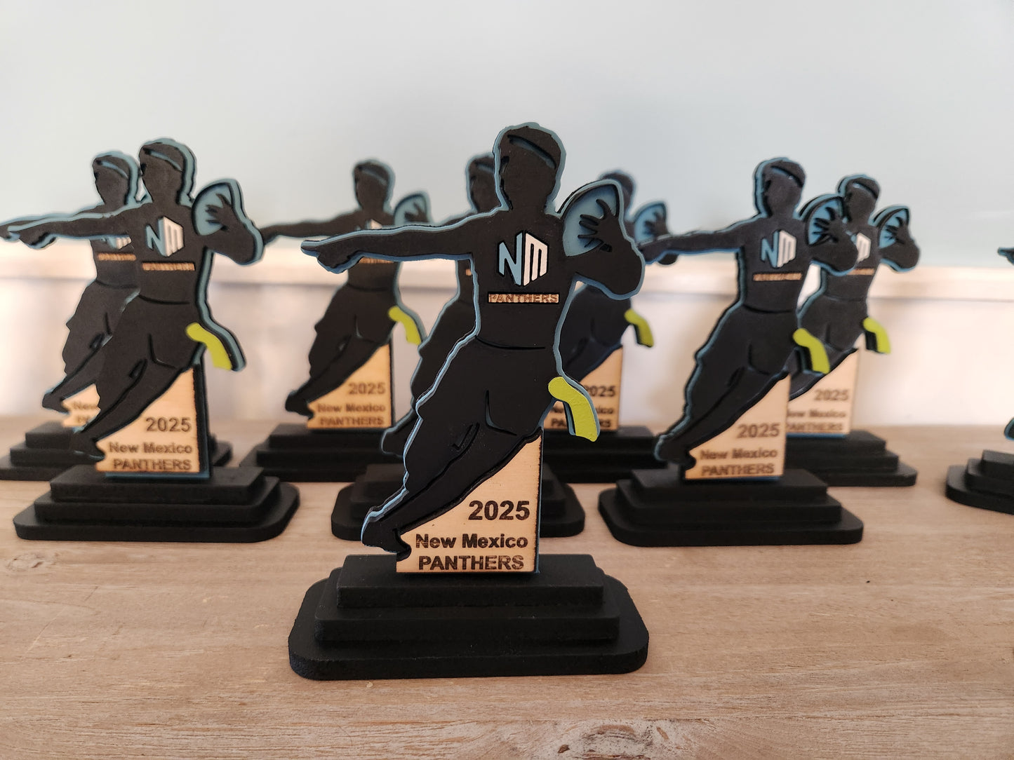 Youth Flag Football Team/Player Gift Trophy Memorabilia